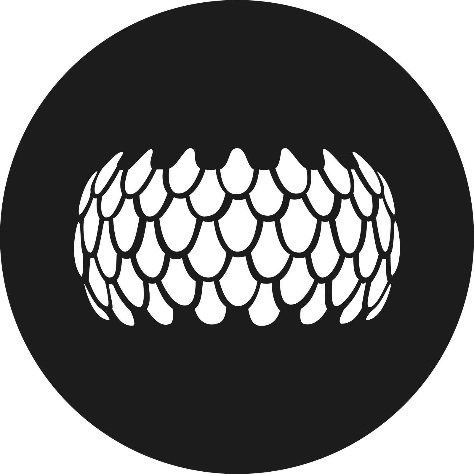 SIRIN LABS Token Logo