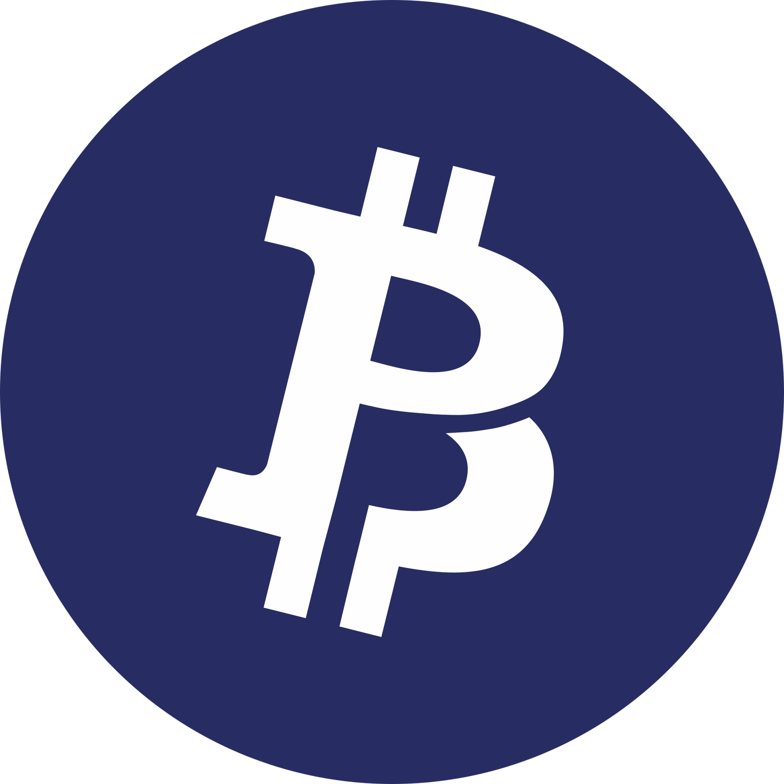 Bitcoin Private Logo