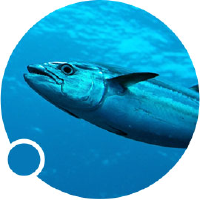 Cloverration Logo