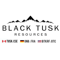 Black Tusk Resources Logo