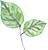 PlantX Life Logo