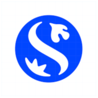 Shinhan Financial Logo