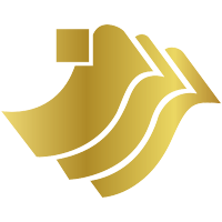 China Success Finance Logo