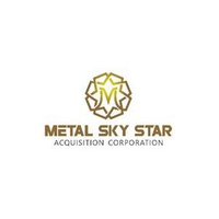 Metal Sky Acquisitionration Ordinaryes Logo
