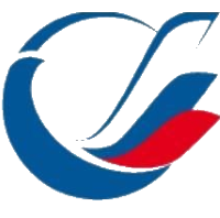 Public Joint Stock Company Transneft Logo