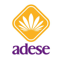 Adese Gayrimenkul Yatirim AS Logo