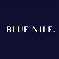 BitNile Holdings Logo