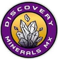 Discovery Minerals Ltd Logo