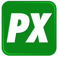 P10 Logo