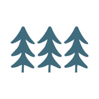 TWFG, Common Stock Logo