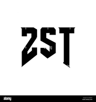 ZST Digital Networks Logo