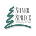 Silver Spruce Logo