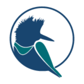 Kingfisher Metals Logo