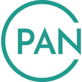 Pan American Energy Logo