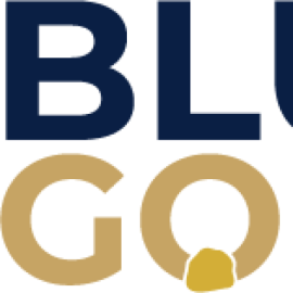 Blue Gold Limited Registered Sh (A)-Logo
