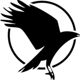 Digital Development Partners Logo
