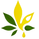 Laser Energetics Inc Logo