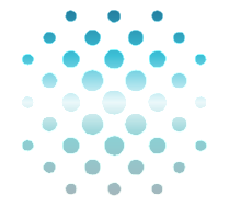 Rare Earths Americas Logo