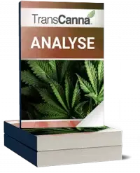 TransCanna Analyse