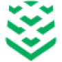 Swarmer Aktie