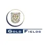Gold Fields Aktie