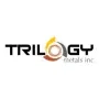 Trilogy Metals Aktie