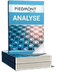 Piedmont Lithium Analyse