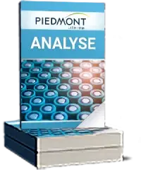 Piedmont Lithium Analyse