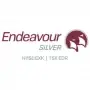 Endeavour Silver Aktie