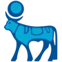 Novo Nordisk Aktie