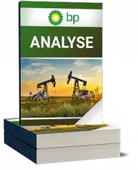 BP Analyse