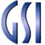 GSI Aktie