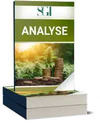 Sol Global Investments Analyse