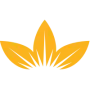 British American Tobacco ADR Aktie