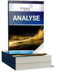 Victoria Gold Analyse