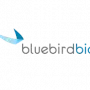bluebird bio Aktie
