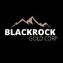 Blackrock Silver Aktie