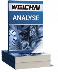Weichai Power Analyse