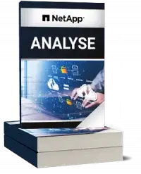 NetApp Analyse