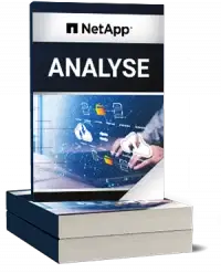 NetApp Analyse