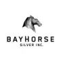 Bayhorse Silver Aktie