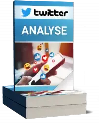 Twitter Analyse