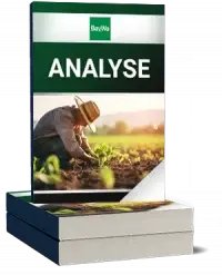 Baywa AG Analyse