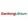 Ganfeng Lithium Ltd. Registered (H) Aktie