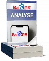 Baidu Analyse