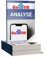 Baidu Analyse