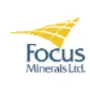 Focus Minerals Aktie