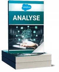 Salesforce Analyse