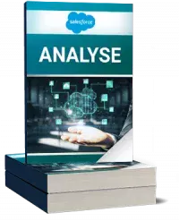 Salesforce Analyse