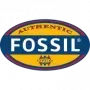 Fossil Aktie